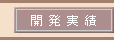 開発実績